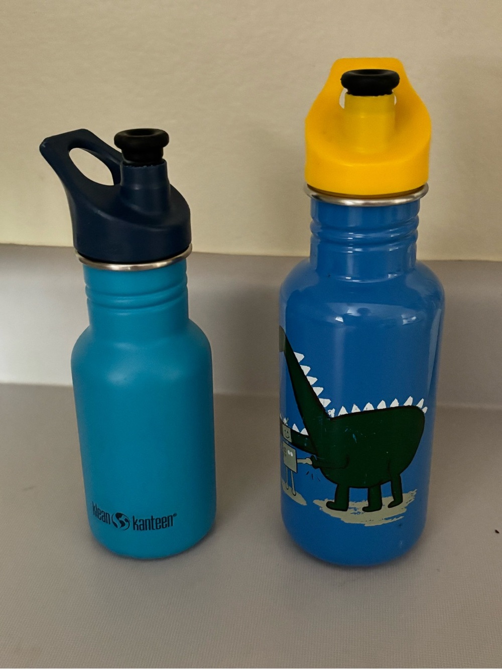 Klean Kanteen 2 Blue Water Bottles